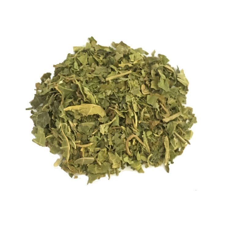 Ippocastano Foglie Galeno 250g