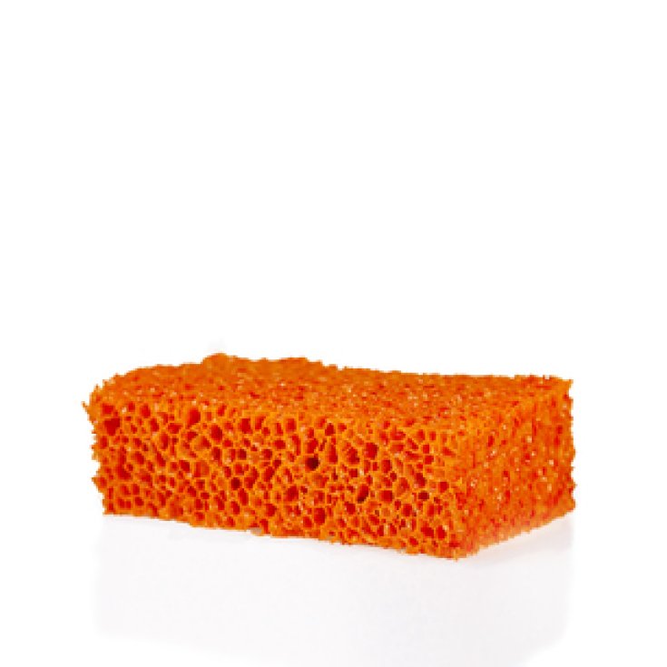 Rosenfeld Spugna Arancione 13/14cm