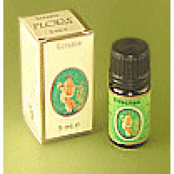 Incenso Olio Ess 5ml