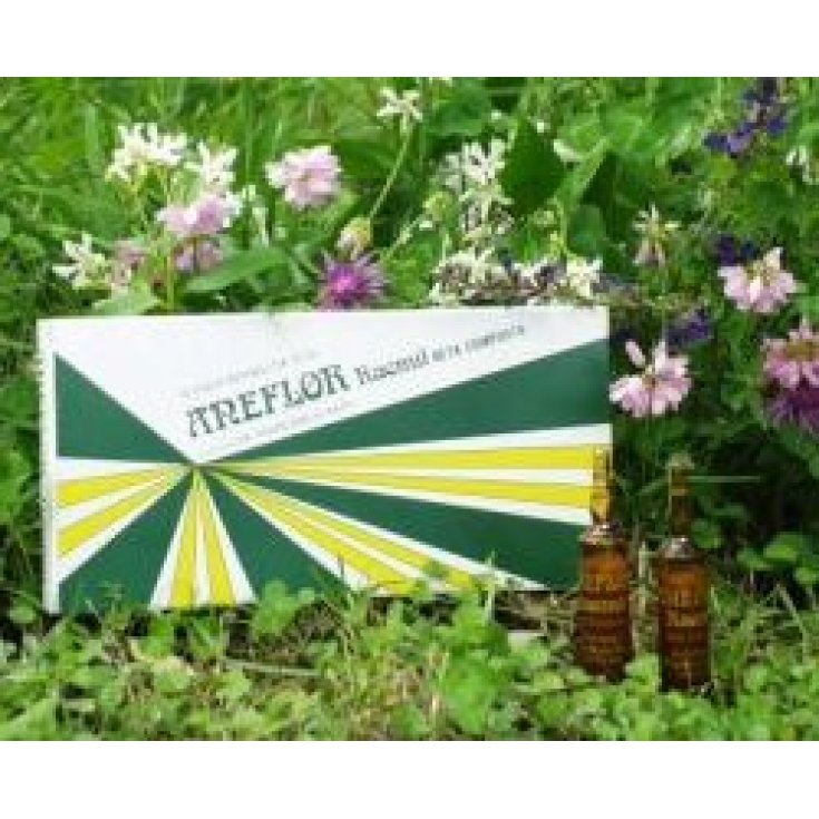 Raemil Heliantus Tuberosus Fiale 25ml