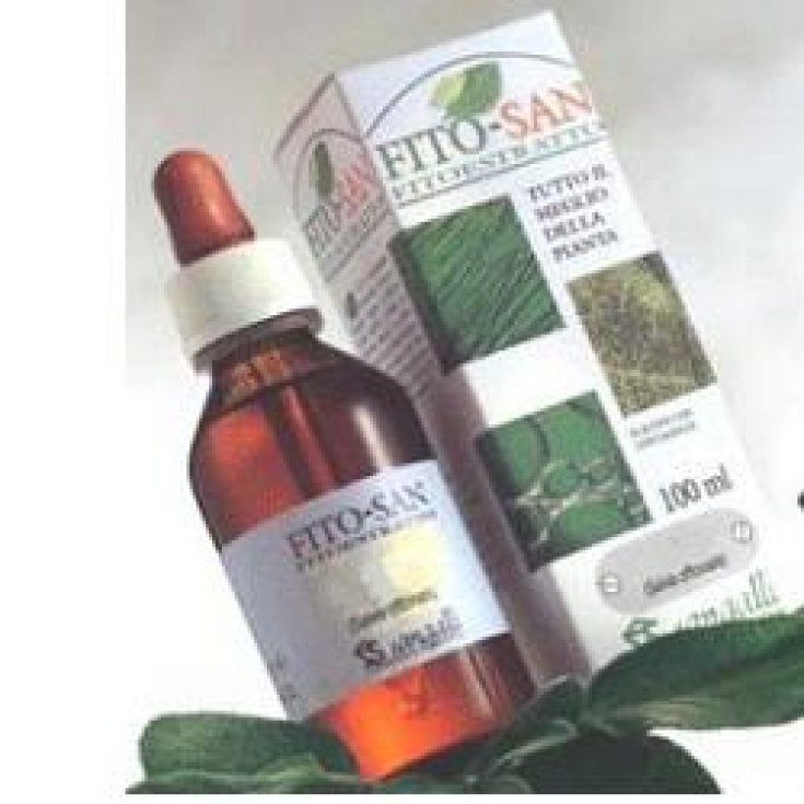 Cardo Mariano Frut 100ml Tm