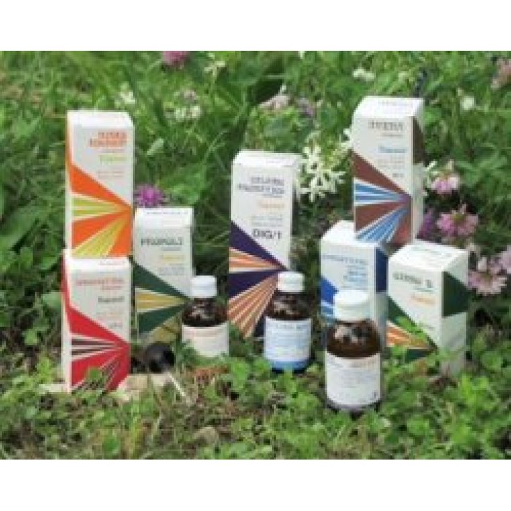 Raemil Artis Ginko Biloba Composto 25ml