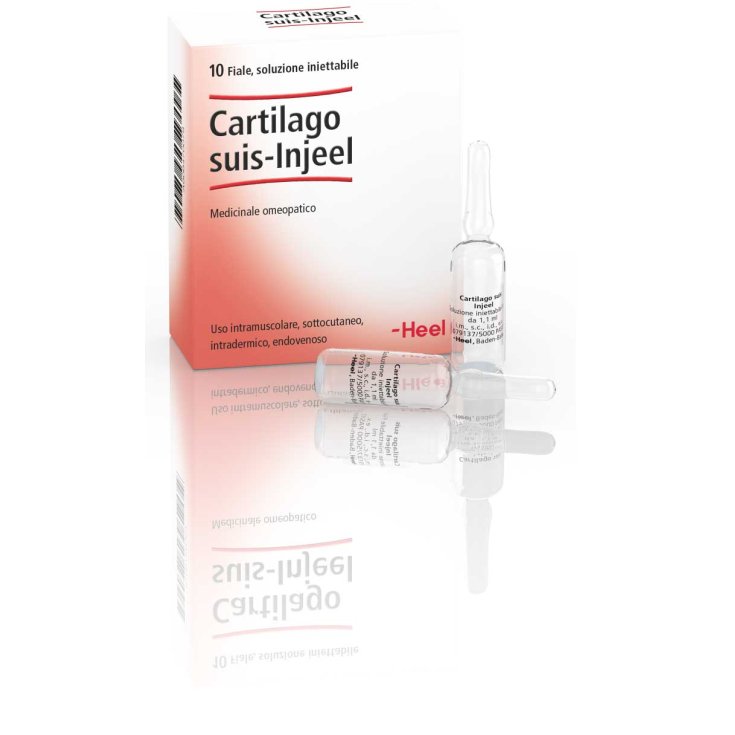 Cartilago Suis-Injeel Heel 10 Fiale Da 1,1ml