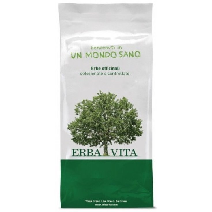 Tarassaco Radice Tisane Erba Vita 100g