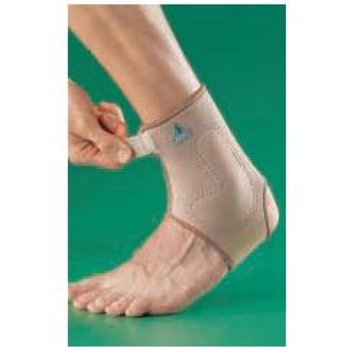 CAVIGLIERA NEOPRENE SIL S OPPO