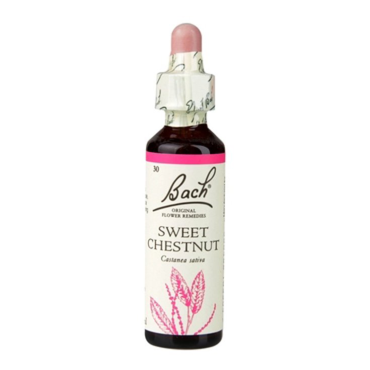 Sweet Chestnut Fiori di Bach® Original 20ml