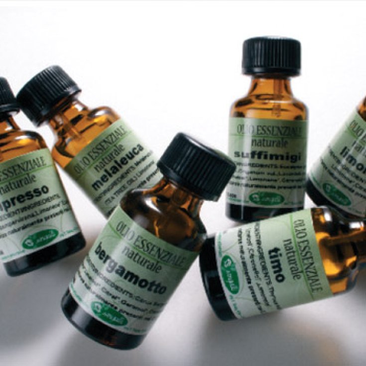 Sangalli Rosmarino Gemmoderivato 100ml