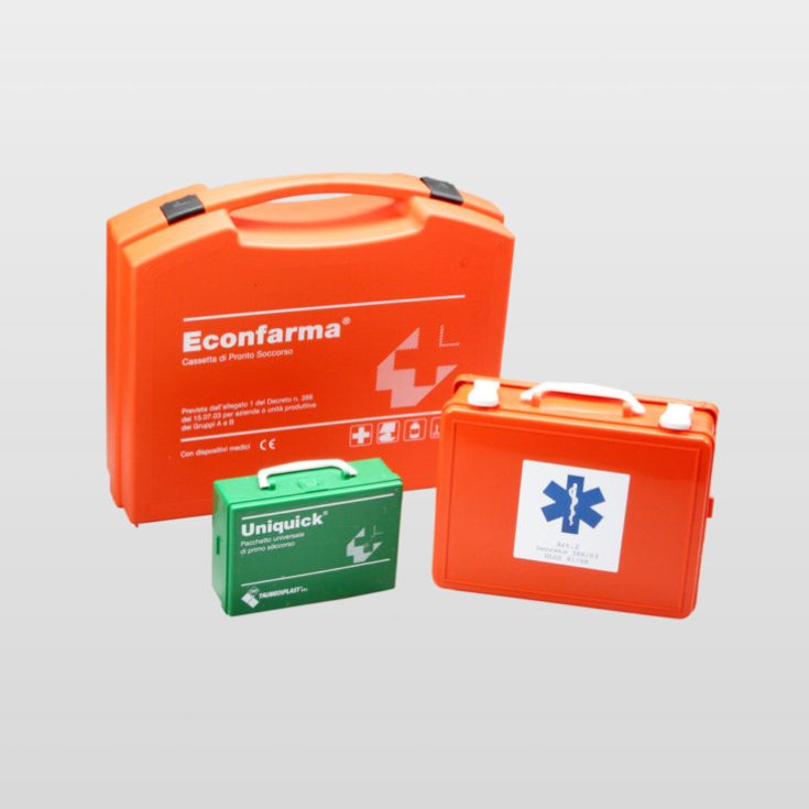 Cassetta Pronto Soccorso Media Farvisan