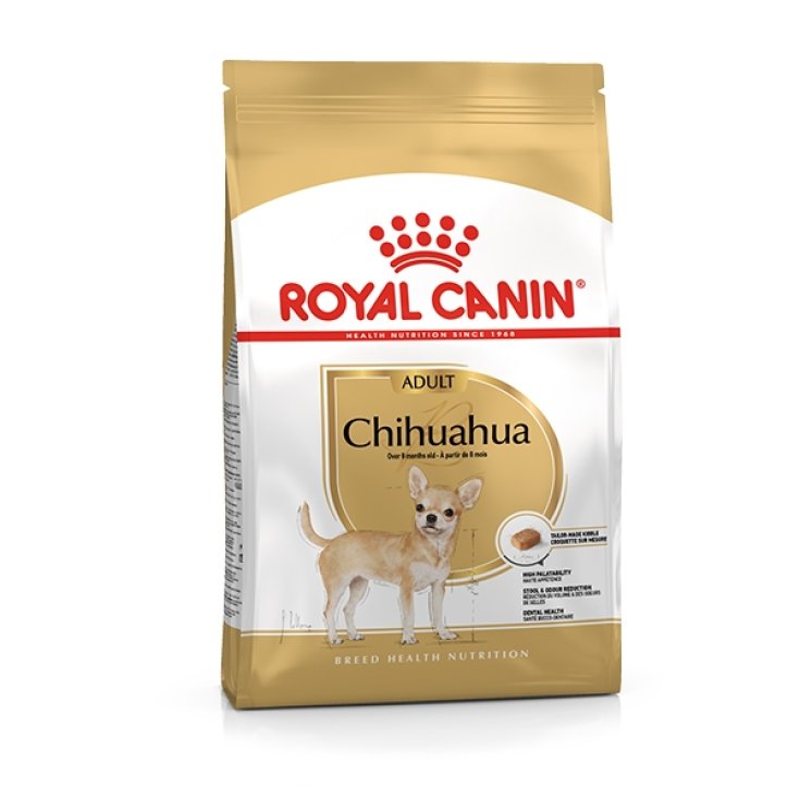 Chihuahua Adult - 1,50KG