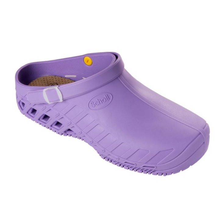 Clog Evo Unisex Scholl Lilla 40-41