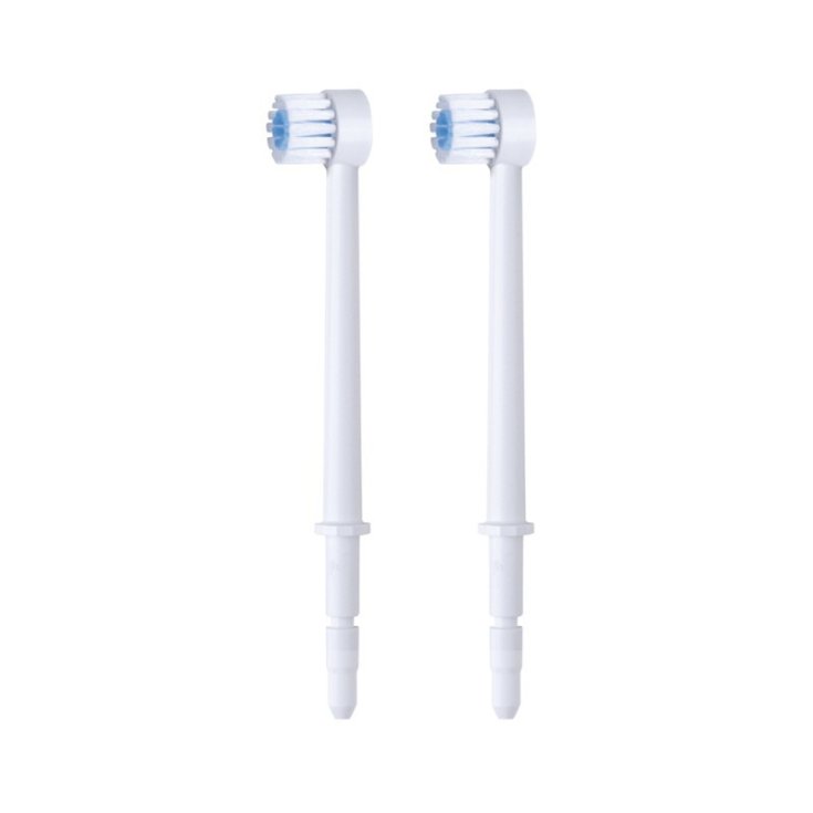 Ricambio Spazzole Per Irrigatore Wp100 - 450 Waterpik®
