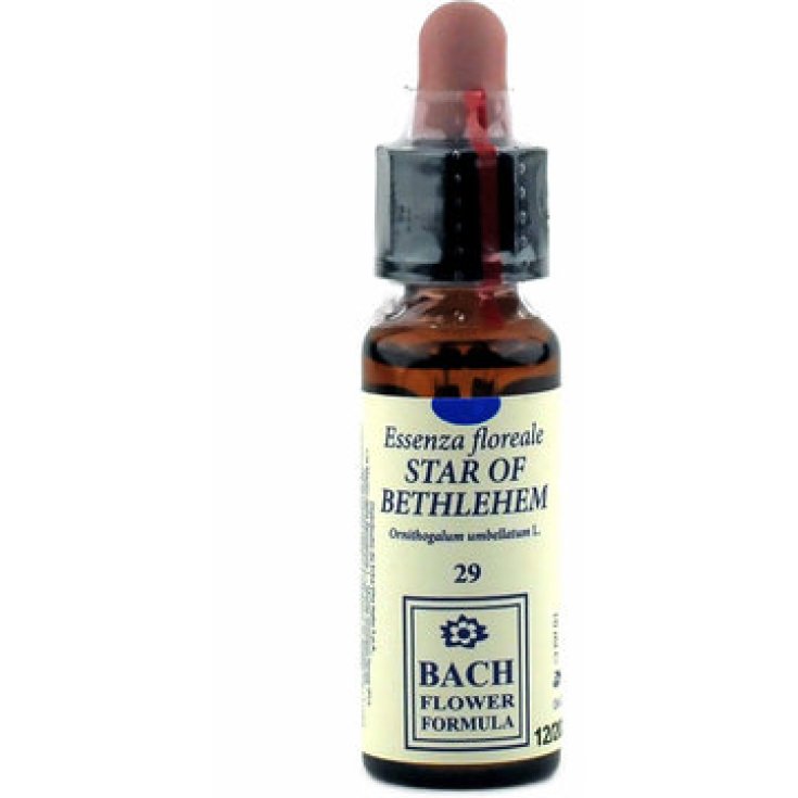 Star Of Bethlehem 29 Fiori Di Bach 10ml