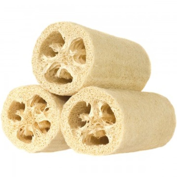 Rosenfeld Loofah Spugna 30cm