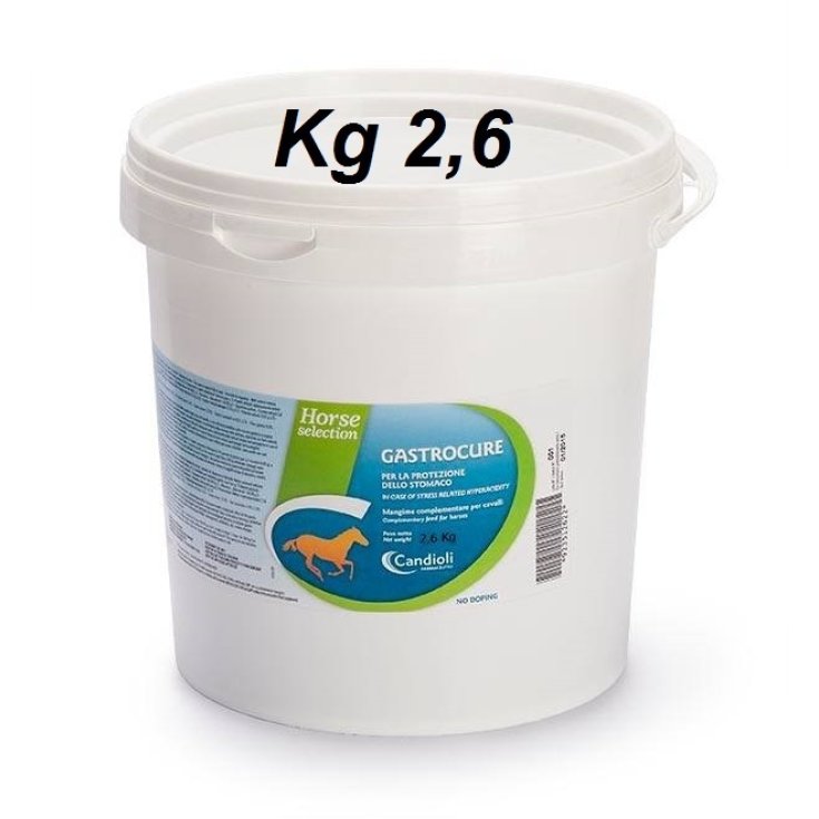 Candioli Gastrocure Integratore Alimentare per Cavalli 2,6kg