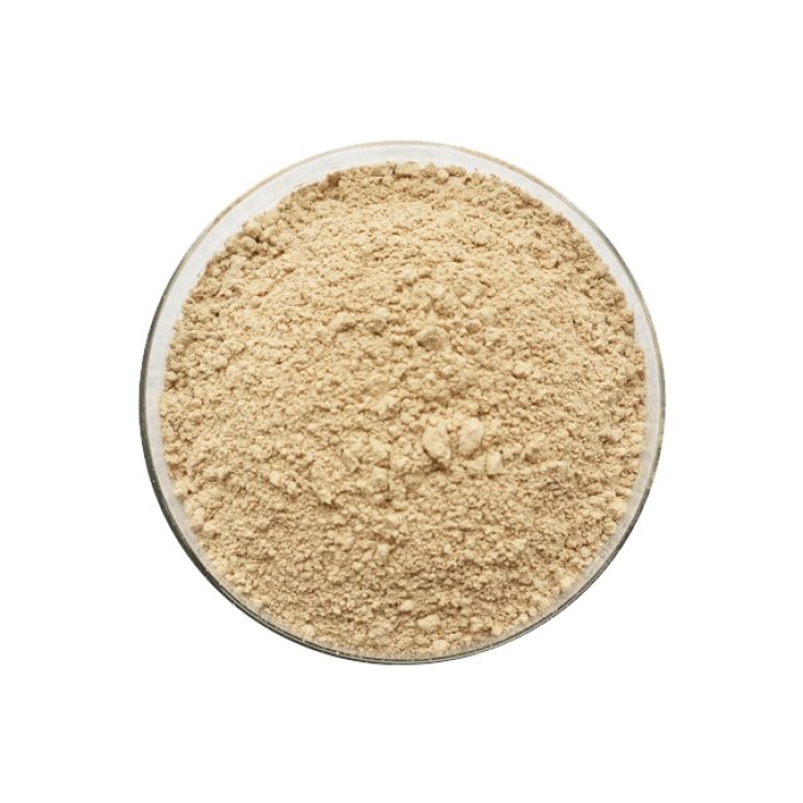 Isoflavoni di Soia ES 40% Galeno 100g