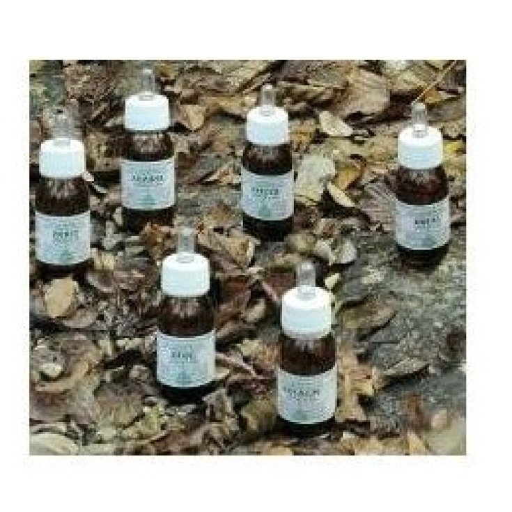 Ka 8 Alchemica Valgelata 30ml