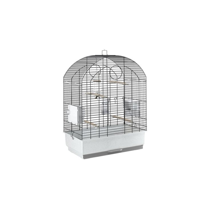 VIOLA NERA S/STAND GABBIA