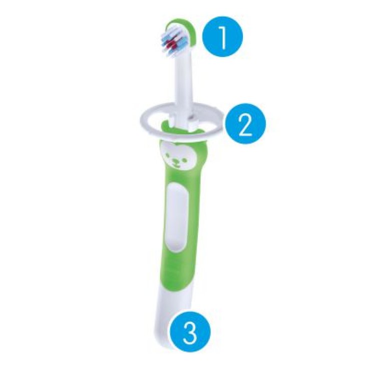Spazzolino Training Brush Bambina Mam 1 Pezzo