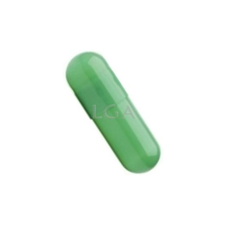 Capsule 00 Verde Trasparente LGA 1000 Pezzi