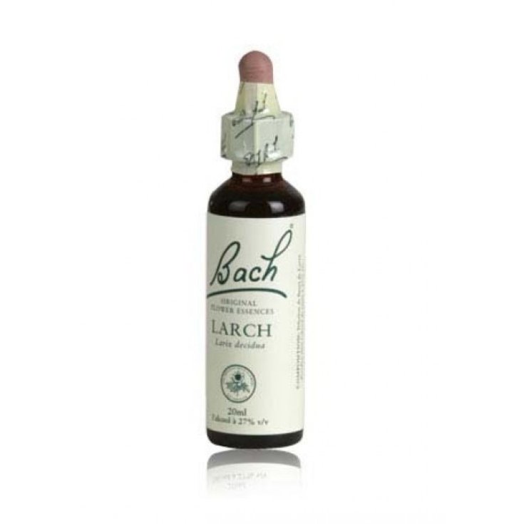 Larch Fiori Di Bach® Originali 20ml