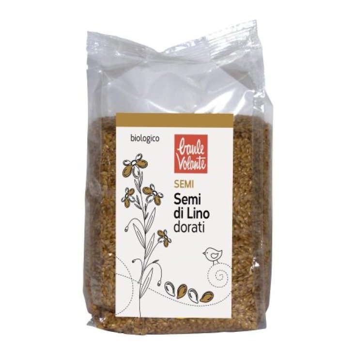 Semi di Lino Dorati Baule Volante 500g