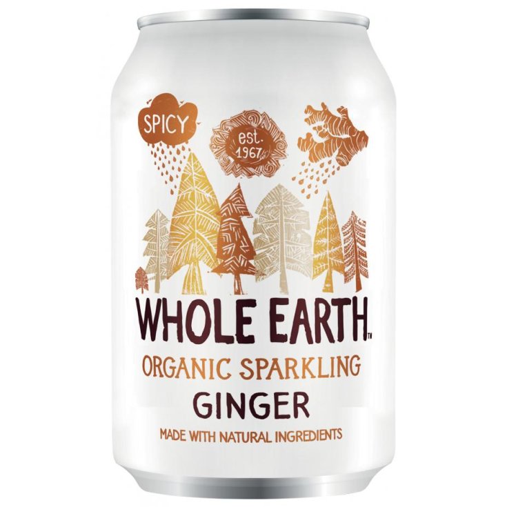 Spicy Ginger Whole Earth 330ml