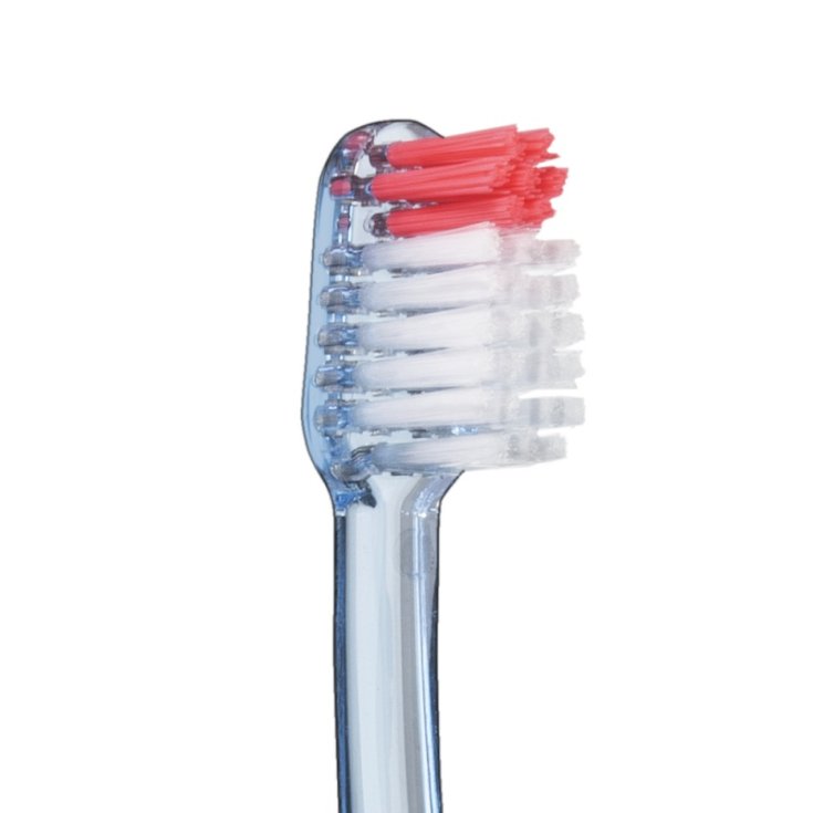 Spazzolino Gingival Vitis® 1 Pezzo