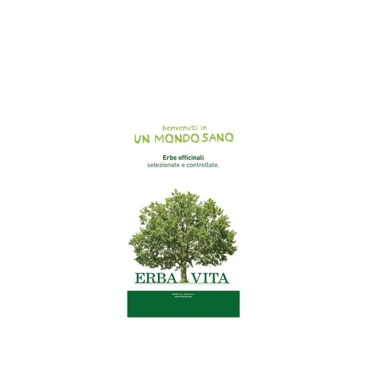 Senna Follicoli Scuri Interi Erba Vita 1Kg