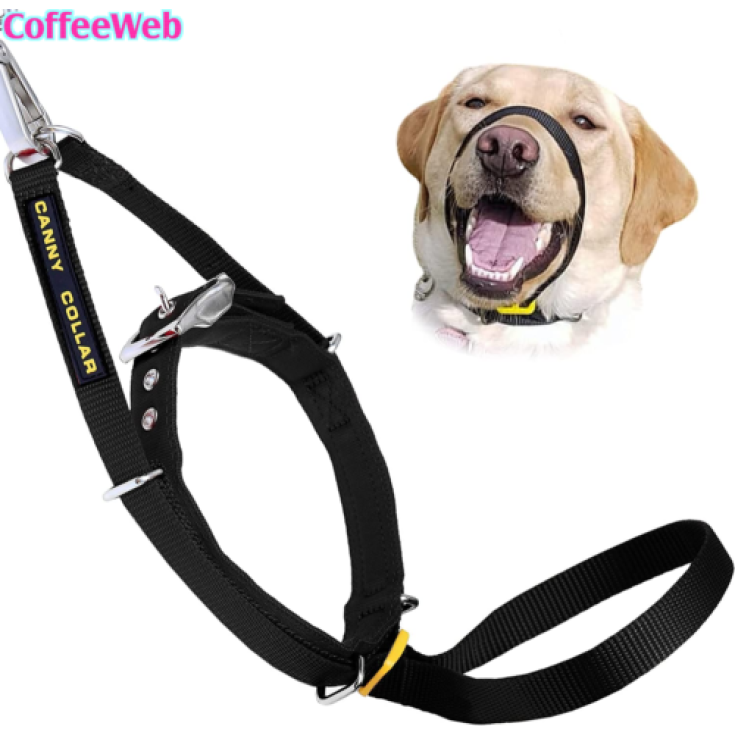 CANNY COLLAR MAGLOC NERO