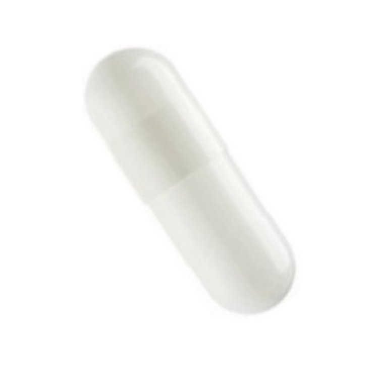 Capsula 000 Bianca 5000 Pezzi