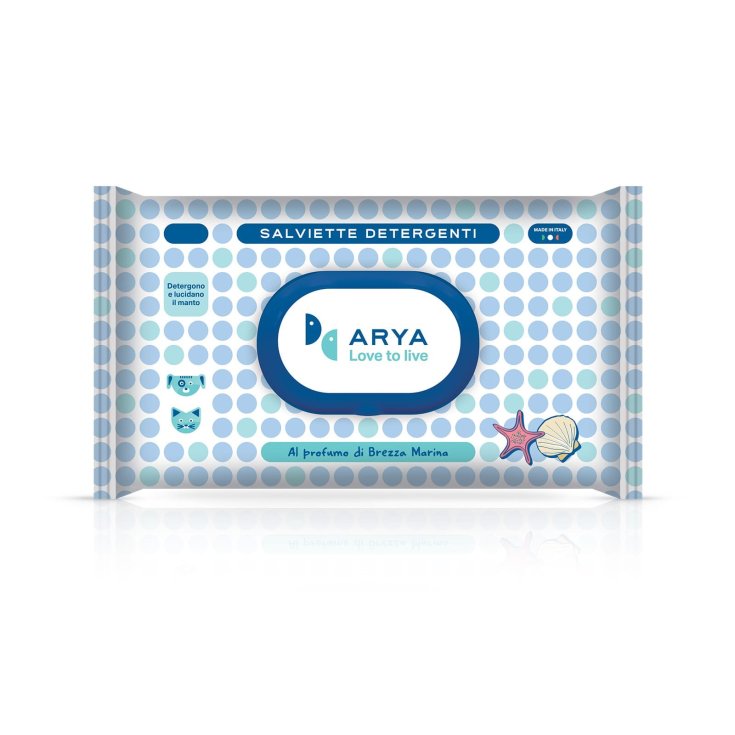 Salviette Detergenti Brezza Marina Arya 50 Pezzi