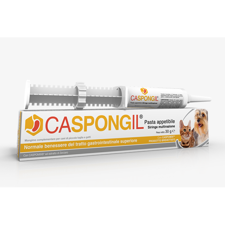 Caspongil® Pasta Shedir pharma® 30g
