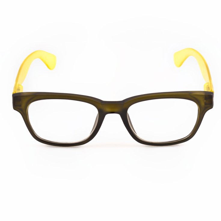 Legend Light Marrone +3,00 Contacta® 1 Pezzo