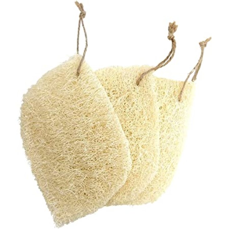 Luffa Grezza Borghetti Enrico 1 Pezzo