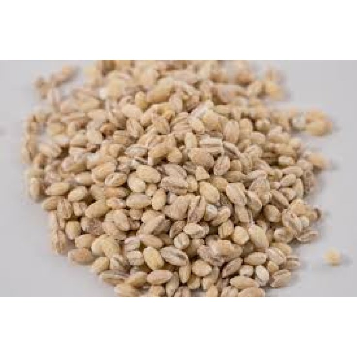 Zuppa D'Orzo Farmagourmet 420g