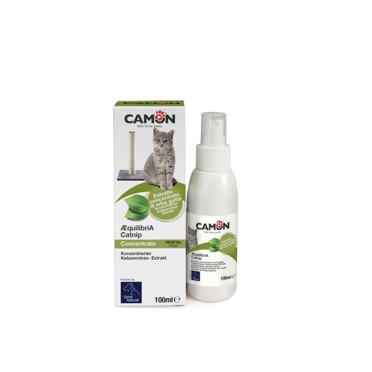Catnip - Estratto Concentrato di Erba Gatta - 100ML