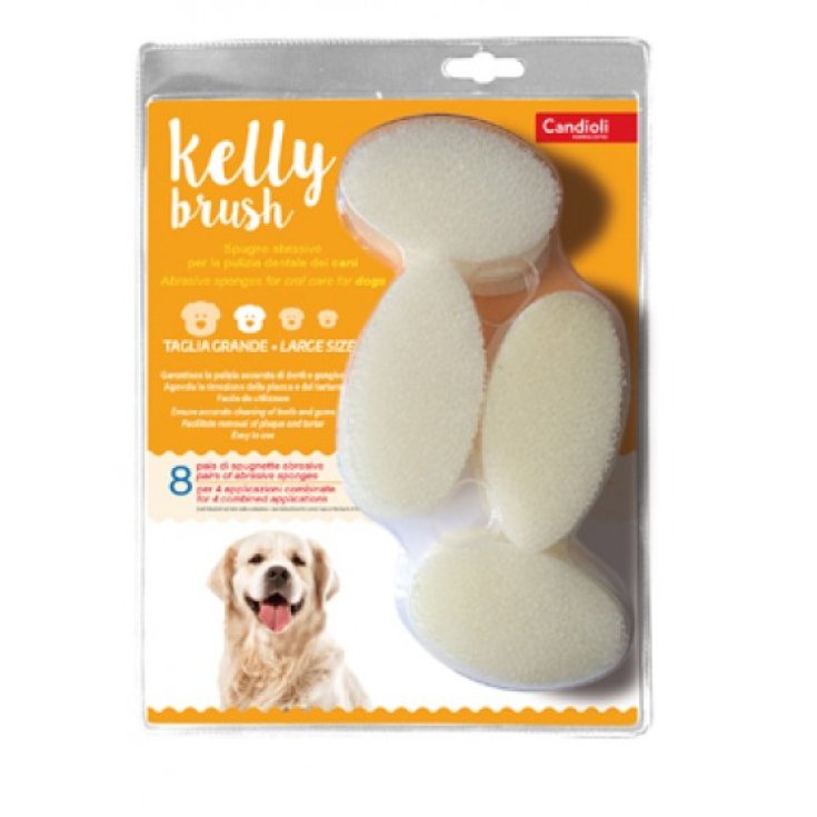 Candioli Kelly Brush Spugnetta Piccola 16 Pezzi