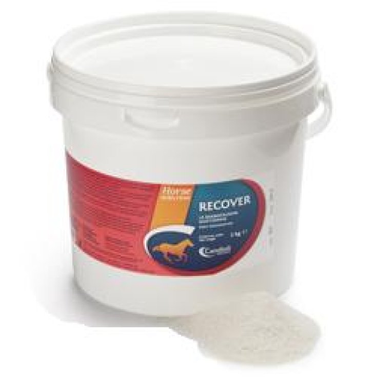 Candioli Recover Reidratante Mangime Minerale Per Cavalli 3kg