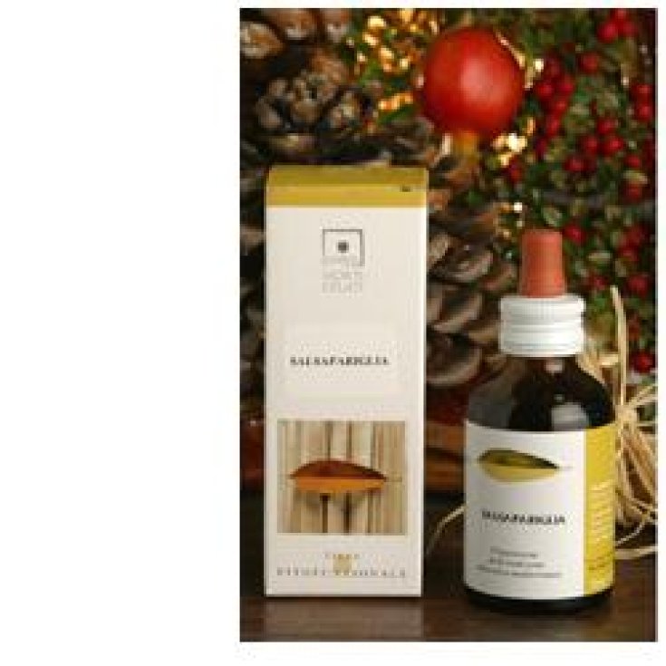 Santiveri Zenzero Biologico 50ml