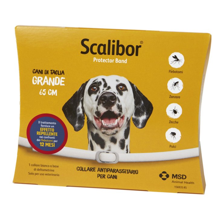 SCALIBOR COLLARE CANI IN BLISTER L 65 CM