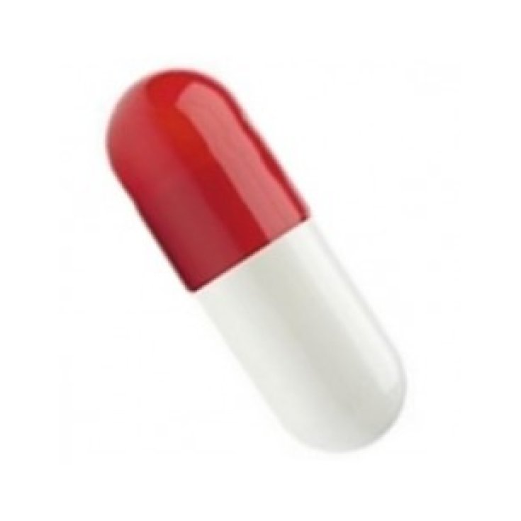 LGA Capsula Vuota Misura 1 Bianco/Rosso 5000 Capsule