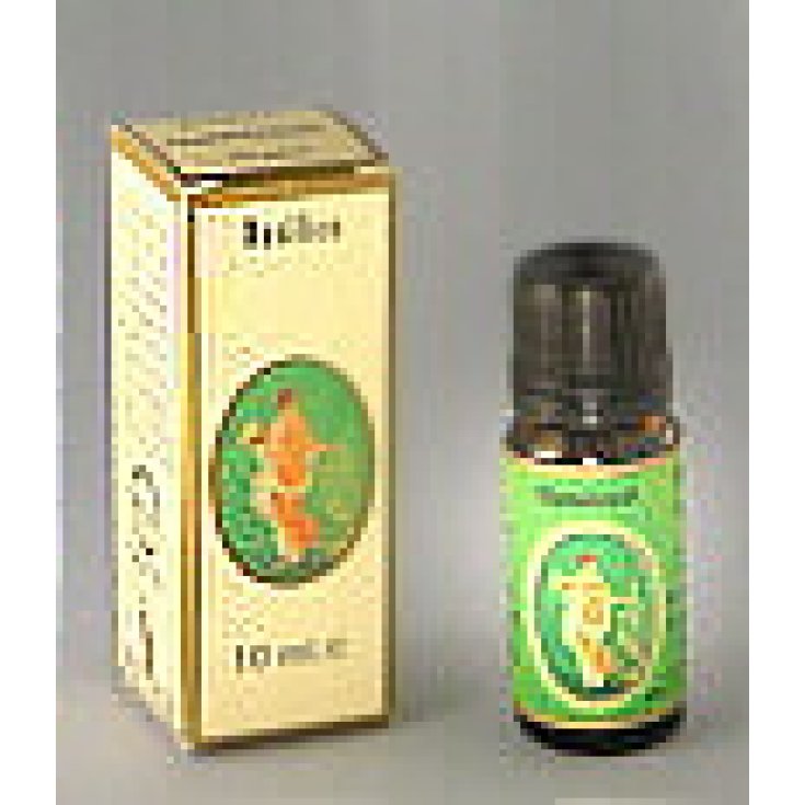 Rosmarino Cineolo Bio Olio 10m
