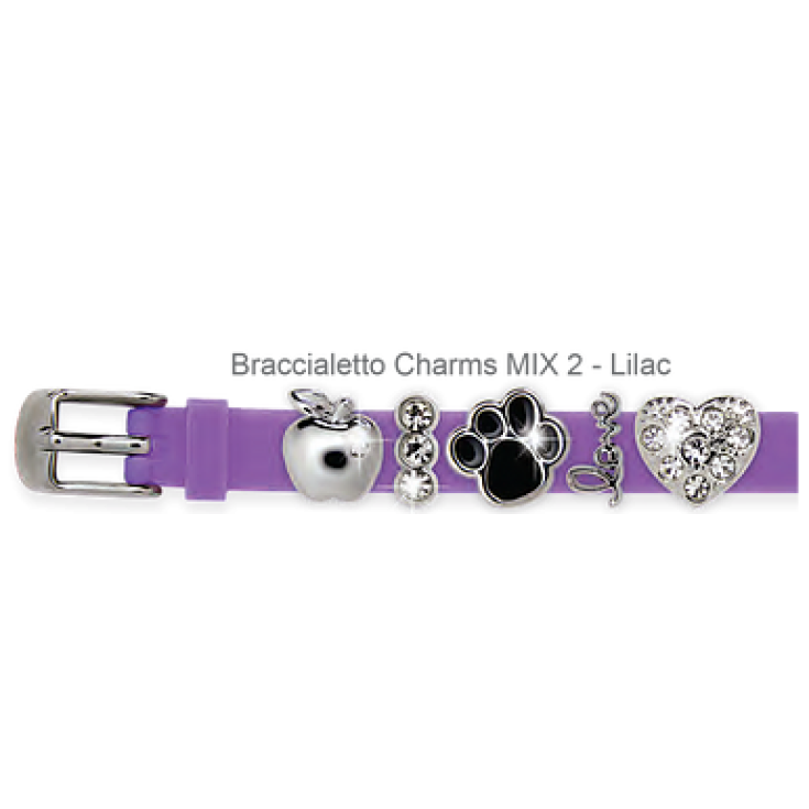 Charms Mix 2 Lilac BioJoux 2 Pezzi