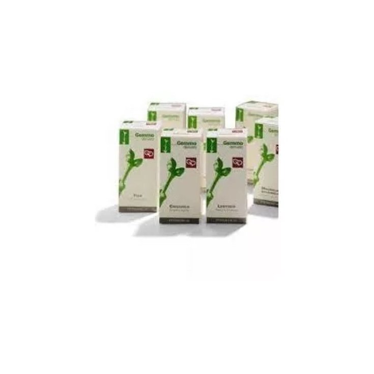 Macerato Glicerinato Ribes Nigrum Fagron 1000ml