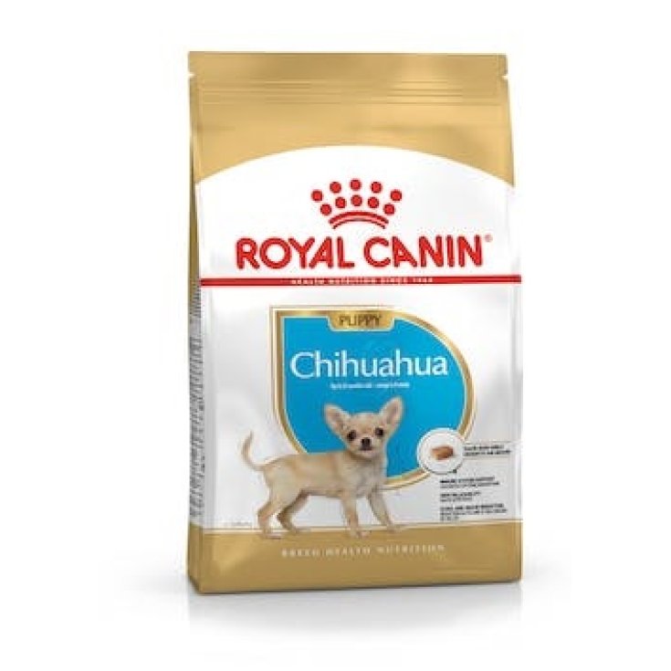 Chihuahua Junior - 500GR