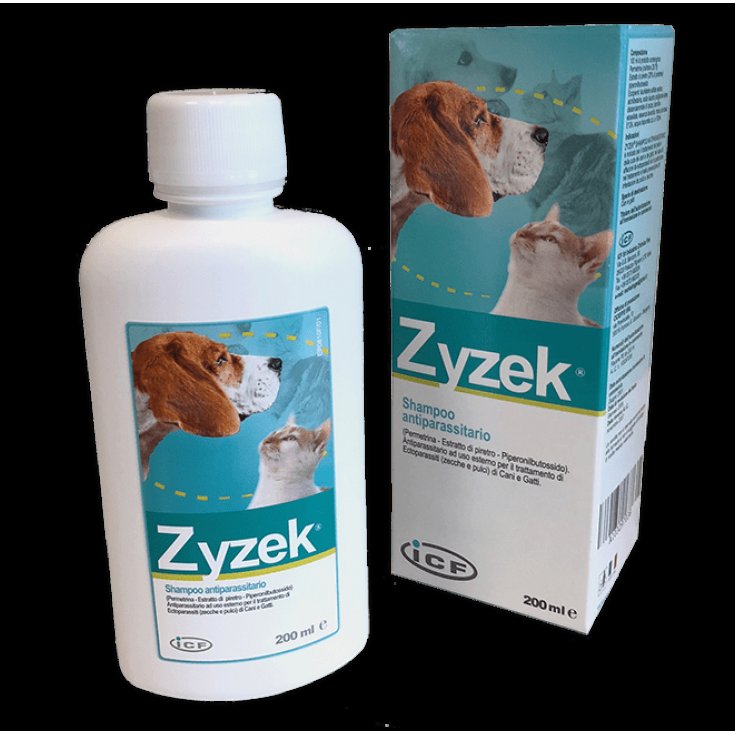 Zyzek Shampoo - 200ML