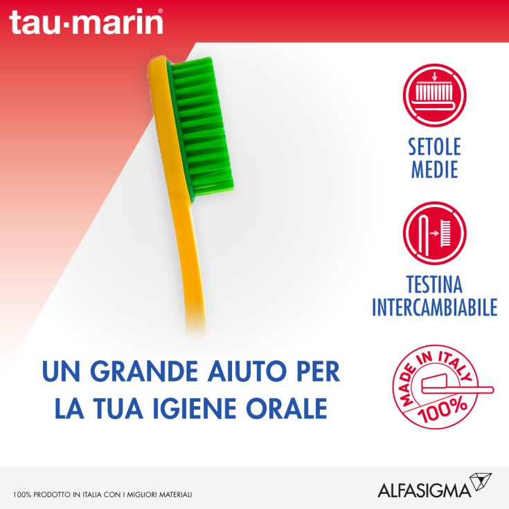 Magnum Setole Medie Tau Marin Colori Assortiti