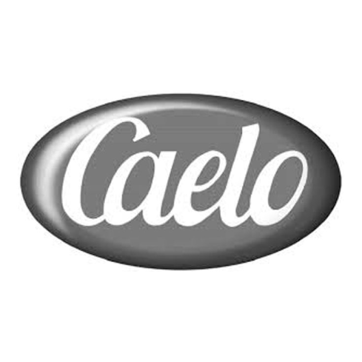 Idrossietilcellulosa G Phe Caelo 1000g