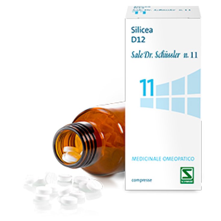 Sale Di Schlüsser N.11 Silicea D12 Schwabe 200 Compresse
