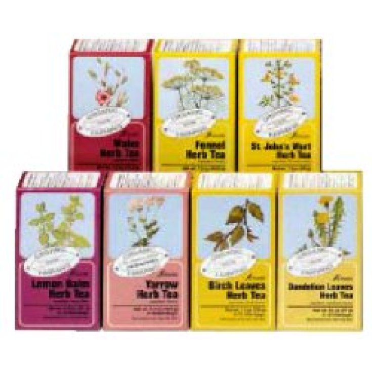 Salus Tisane Biologiche Integratore Alimentare 15 Filtri